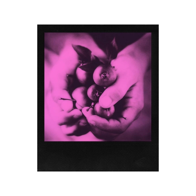 Pink Film for 600 Duochrome фото №2