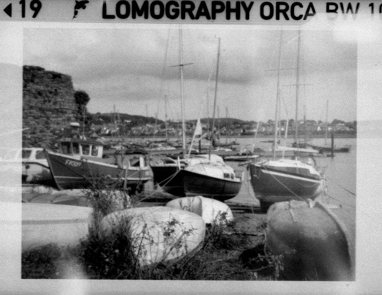 Пленка Lomography B&W Orca 100 фото №6