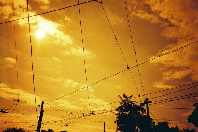1 катушка Lomography Redscale XR 50-200 35mm фото №3