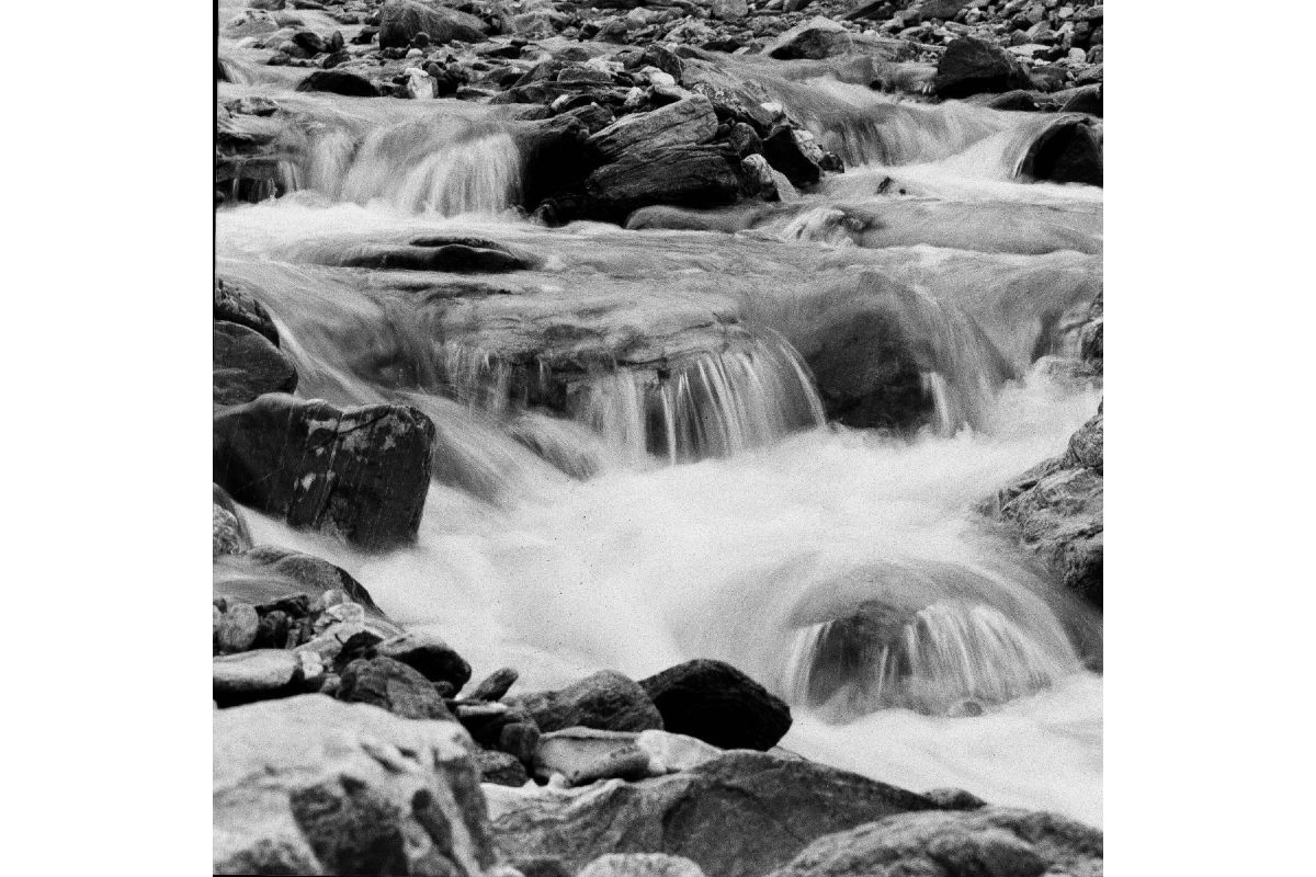 Lomography Lady Grey 400/120 фото №3