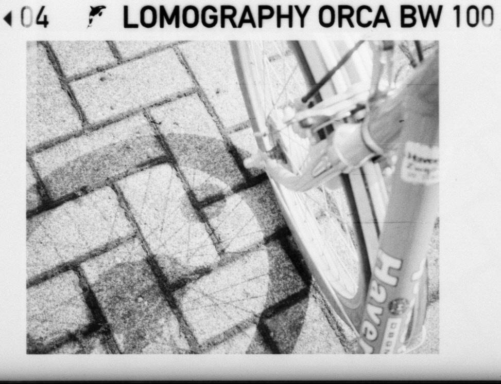 Пленка Lomography B&W Orca 100 фото №2