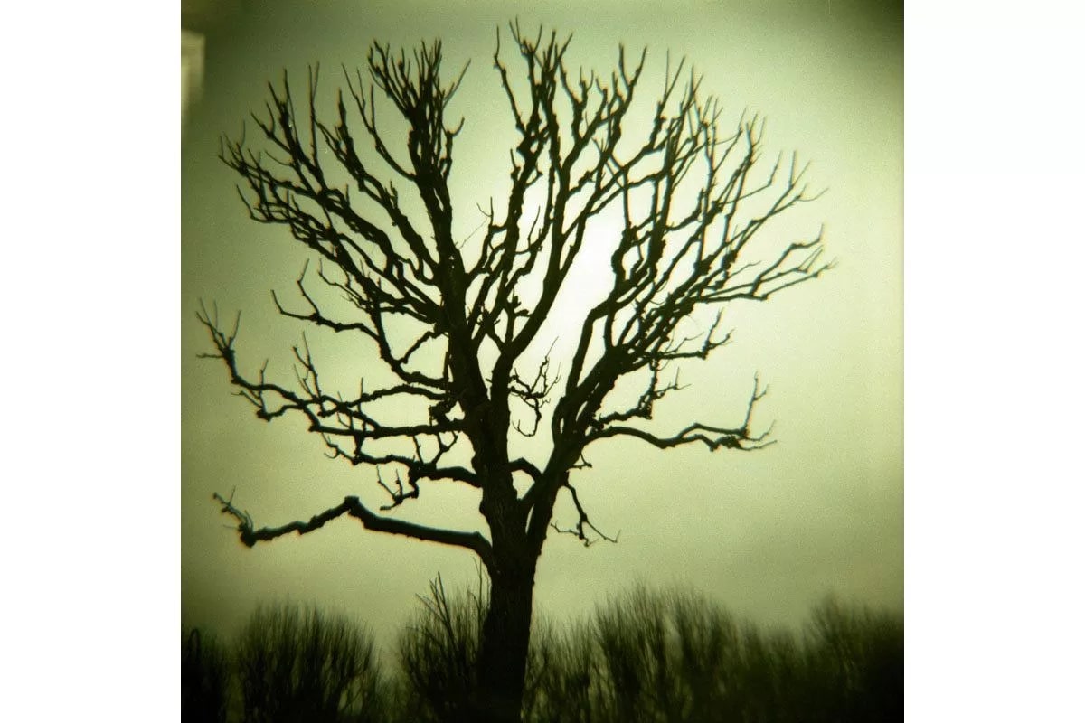 Подарочный набор с Diana F+  фото №5