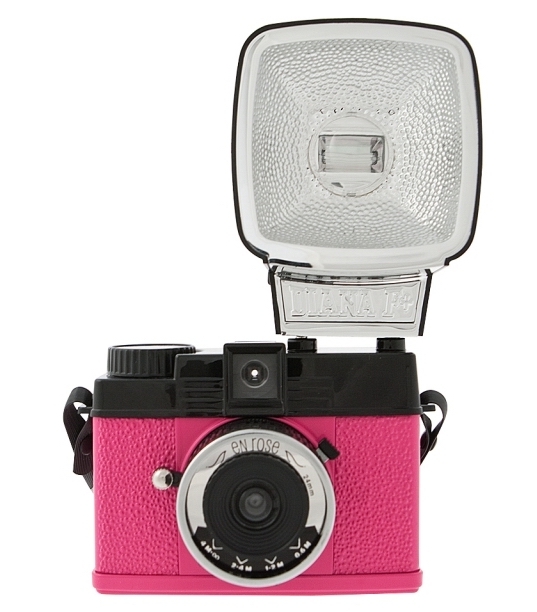 Diana Mini En Rose фото №1