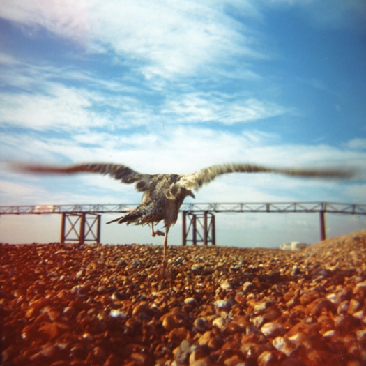 Holga Starter Green фото №5