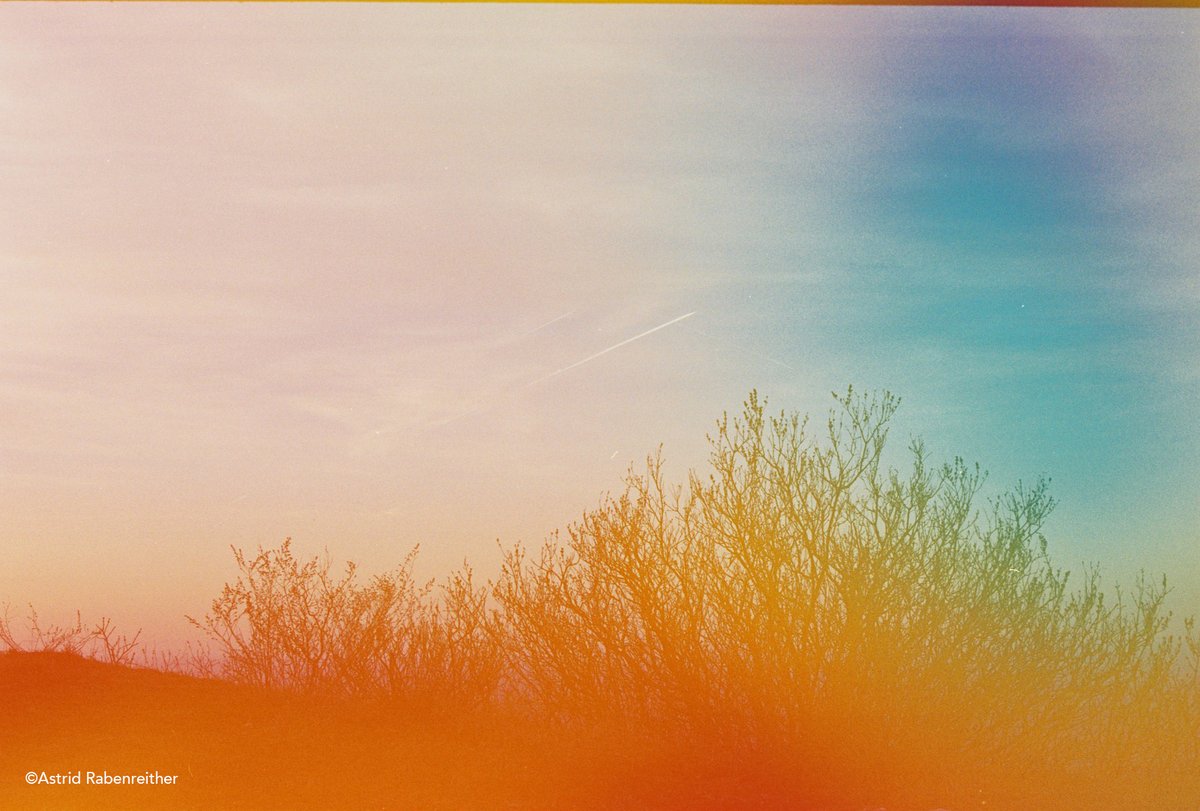 Revolog dubblefilm jelly (36 exp) фото №3