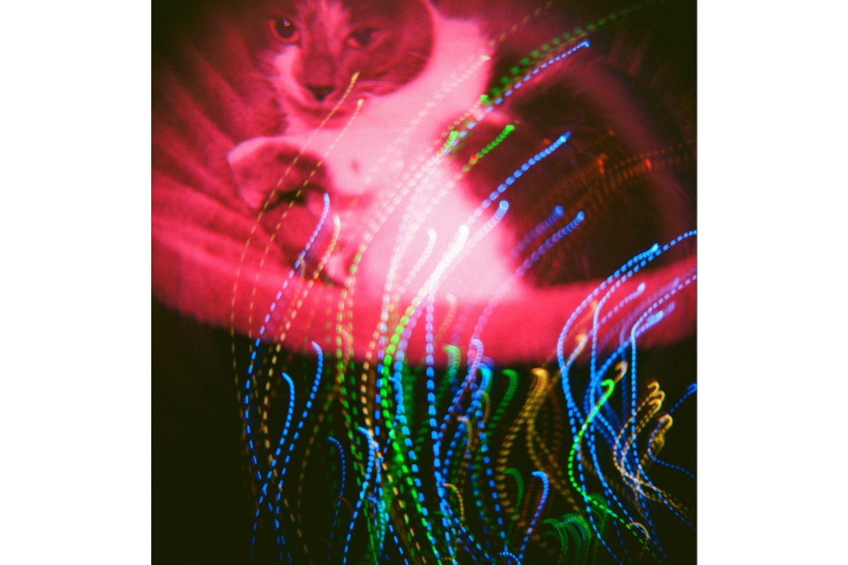 Diana F+ Black Jack фото №10
