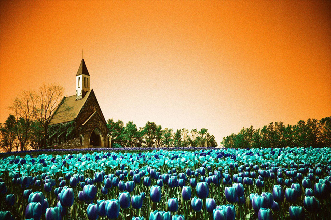 Lomochrome Turquoise XR 100-400 35mm фото №2