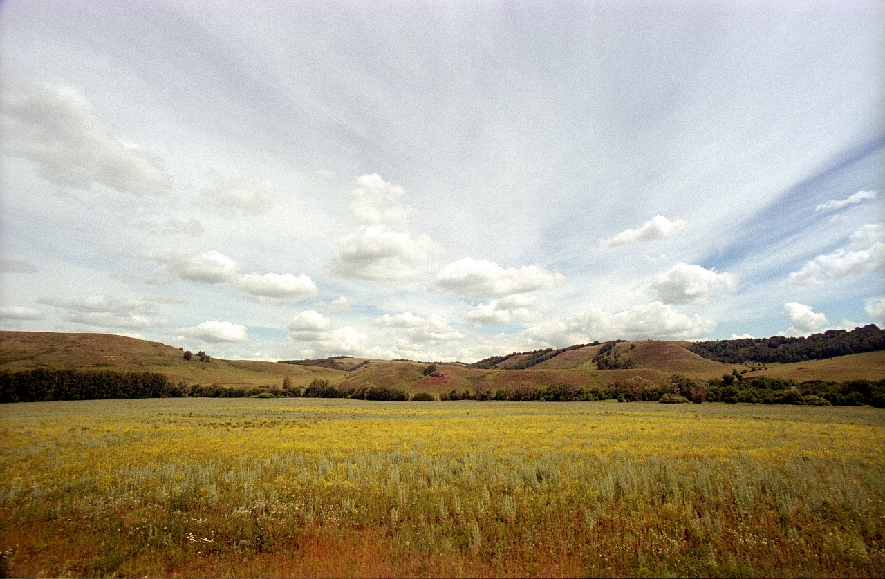 Fujifilm Superia 100 36 кадров (просрочена) фото №5