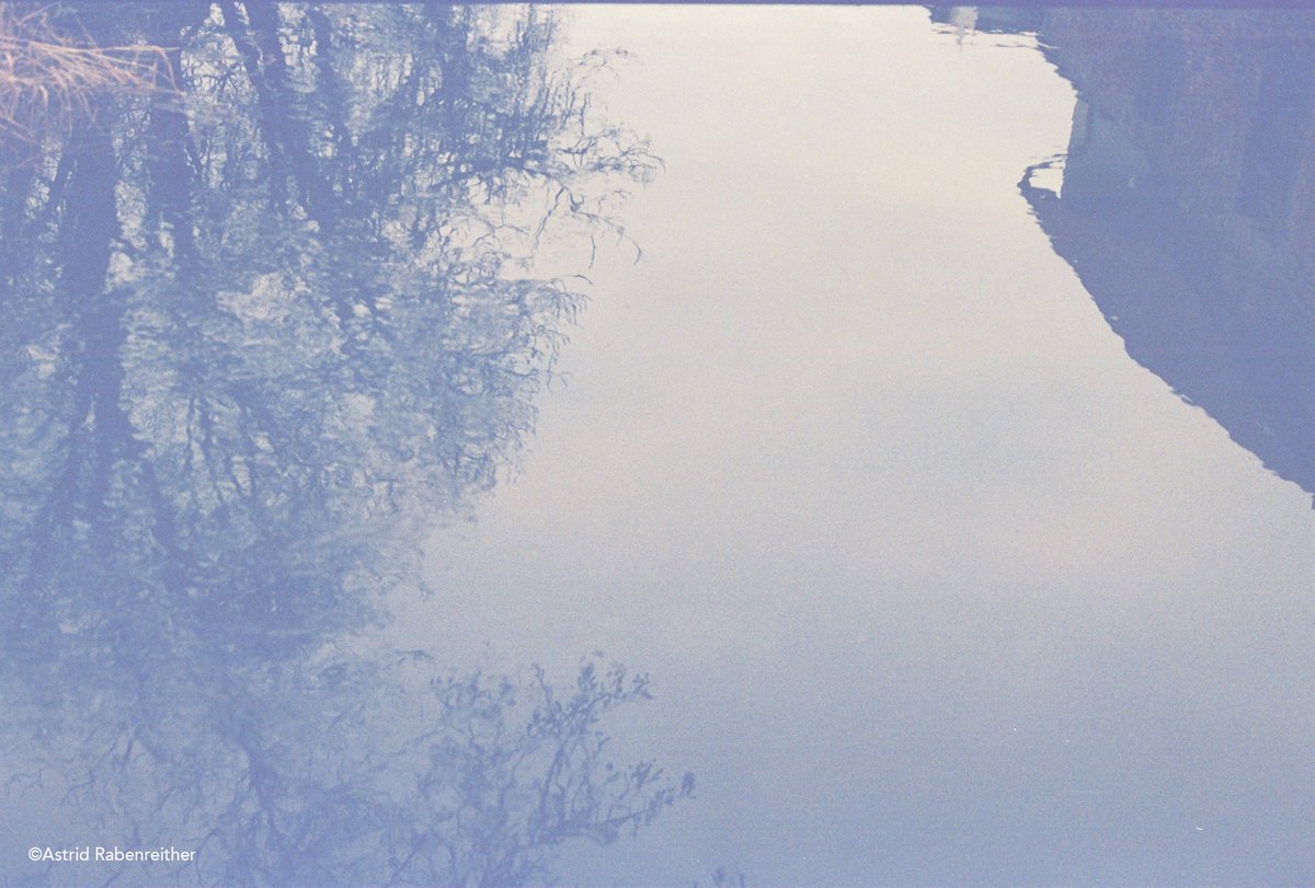 Revolog dubblefilm apollo (36 exp) фото №3