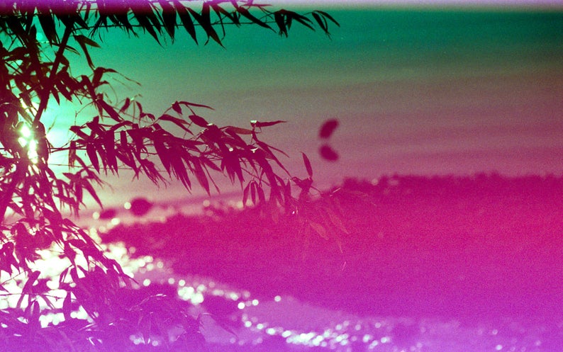 Yodica Andromeda Film (36 exp) фото №2