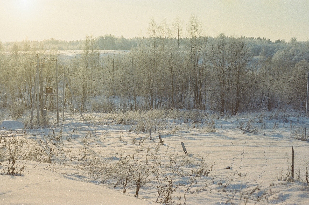 Fujifilm Eterna 500T/24 кадра фото №6