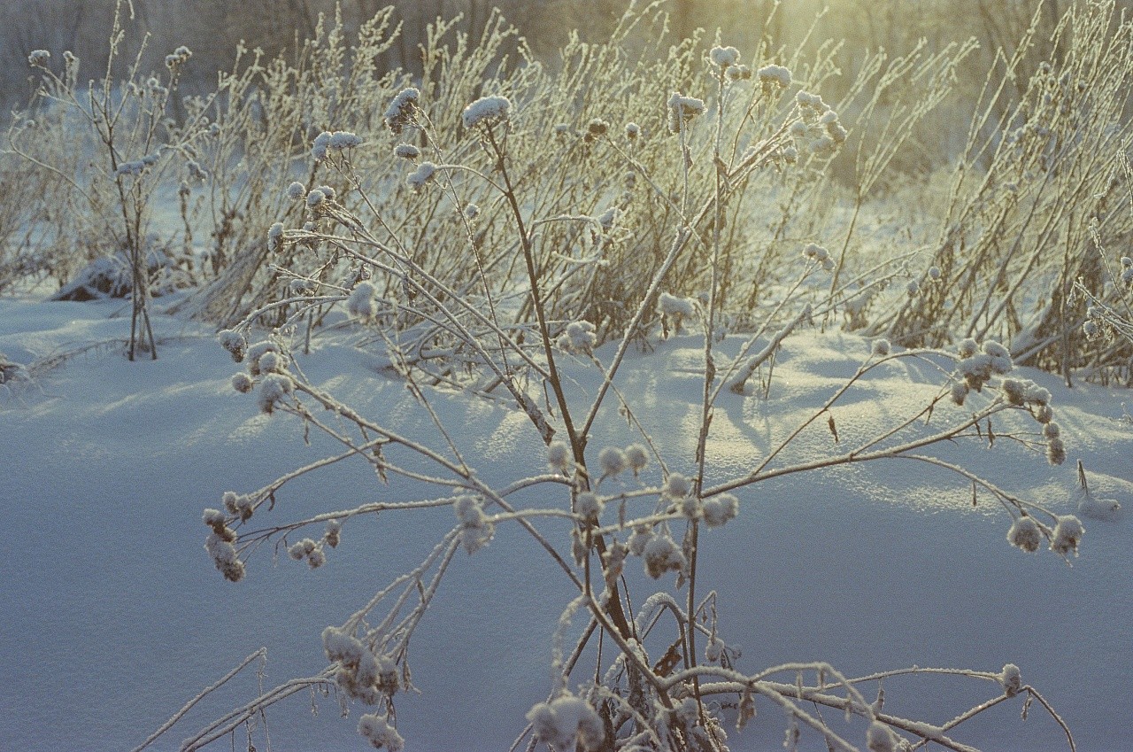 Fujifilm Eterna 500T/24 кадра фото №7