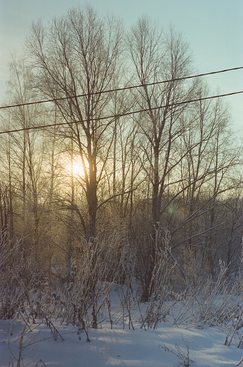 Fujifilm Eterna 500T/24 кадра фото №14