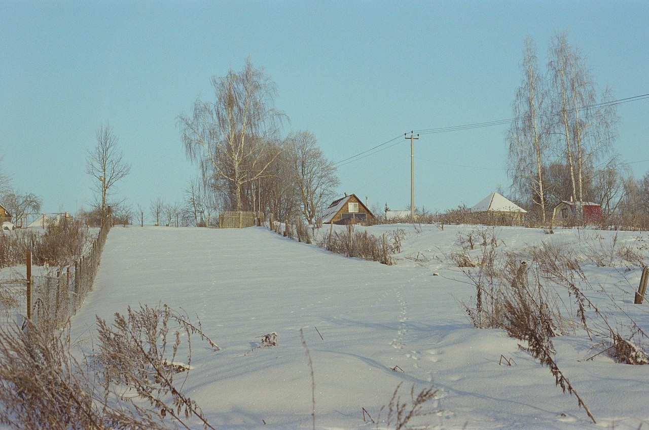 Fujifilm Eterna 500T/24 кадра фото №11