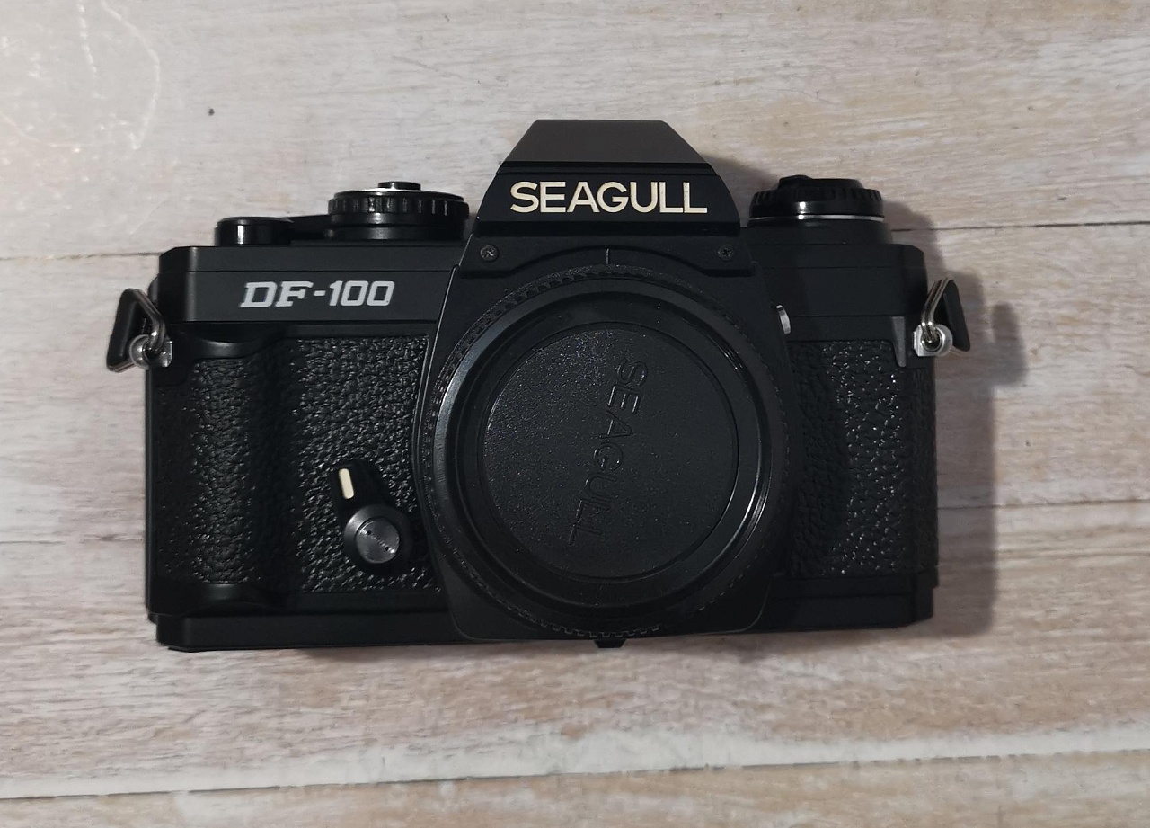 Seagull DF-100 (body) фото №1