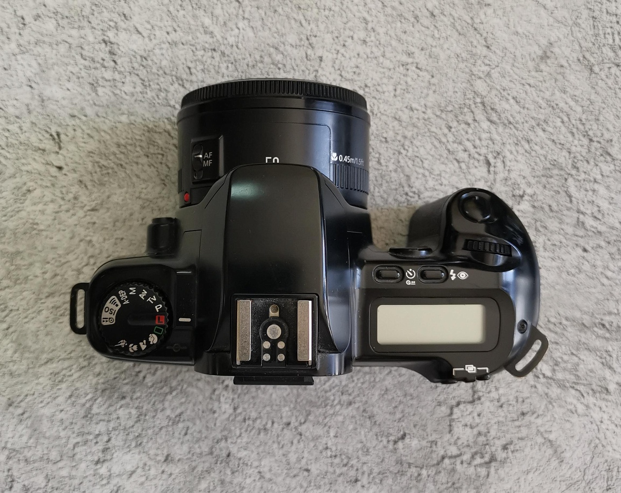 Canon EOS Rebel XS + Canon EF 50 mm F/1.8 II фото №2